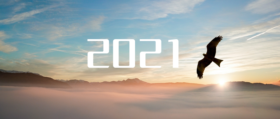 乘“峰”而上，智“盈”未来 ——2021年qy球友会环境高级资深副总裁新年开工动员
